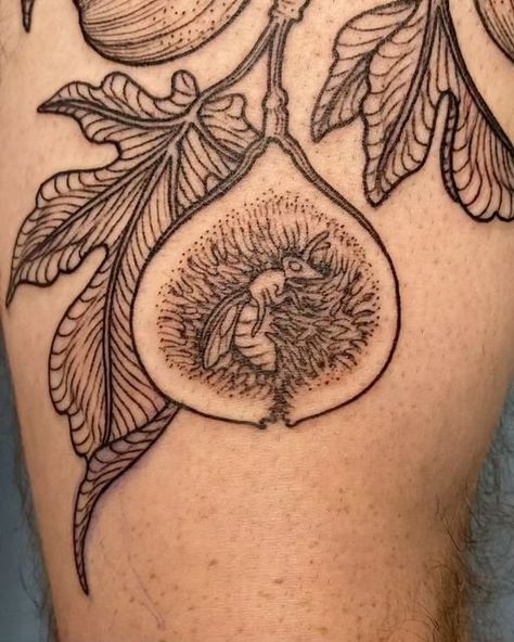 Maggie on Instagram: "Fig wasps 😊 Thank you Sam!" Fig Beetle Tattoo, Mole Animal Tattoo, Fig Flower Tattoo, Fig Leaves Tattoo, Woodcut Tattoo Nature, Bug Sleeve Tattoo, Fig Branch Tattoo, Fruit Tattoo Sleeve, Orchard Tattoo