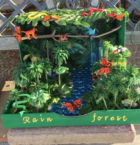 Rainforest Habitat Diorama (animals Are Printable Rainforest Biome Project, Diorama Rainforest, Shoebox Habitat, Rain Forest Diorama, Biome Diorama, Animal Habitat Project, Ecosystems Diorama, Habitat Projects, Ecosystem Project