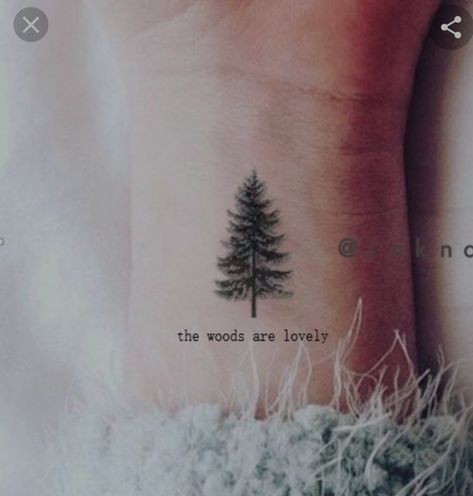 Rustic Nature Decor, Pine Tattoo, Mother Nature Quotes, Vintage Nature Photography, Mother Nature Tattoos, Nature Symbols, Tattoo Nature, Summer Nature Photography, Photography Inspiration Nature