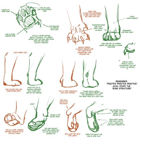 Big cat paws Feline Anatomy, Paw Drawing, Wolf Paw, Cat Drawing Tutorial, Cat Anatomy, Paw Design, Anatomy Drawing, Poses References, Warrior Cat