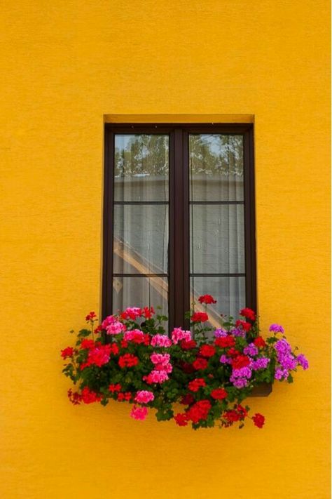 Tangerine Walls, Beautiful Europe, Futurisme Retro, Pintura Exterior, Flower Window, Yellow Wall, Casa Exterior, Beautiful Windows, Window Boxes