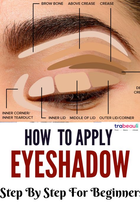 So, Trabeauli has brought you a perfect tutorial for how to apply eyeshadow. Check out the blog- #eyeshadow #makeup Eyeshadow How To, Eyeshadow Tutorial For Hooded Eyes, Makeup Application Order, Eyeshadow Guide, Wedding Jamaica, Makeup Wrinkles, How To Do Eyeshadow, Eyeshadow Basics, Eyeshadow Styles