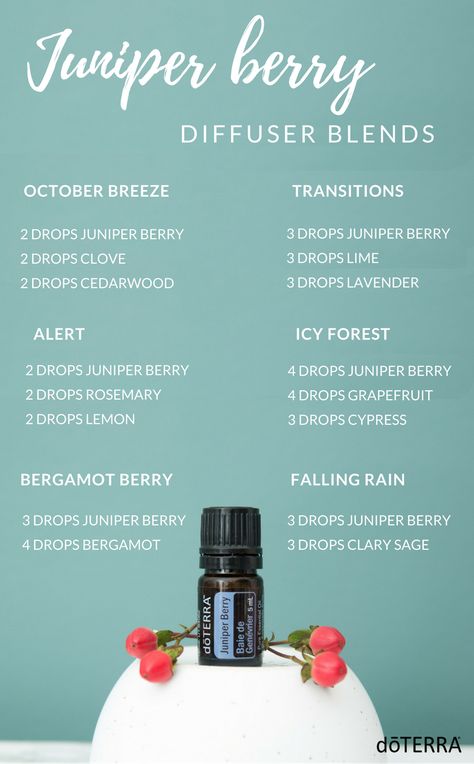 Juniper Berry Diffuser Blends Juniper Essential Oil, Juniper Berry Essential Oil, Doterra Essential Oils Recipes, Essential Oil Diffuser Blends Recipes, Essential Oils Health, Essential Oil Diffuser Recipes, Oil Diffuser Recipes, Essential Oil Mixes, Essential Oil Blends Recipes