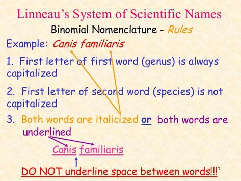 Linneau’s System of Scientific Names Binomial Nomenclature - Rules Example: Canis familiaris 1. First letter of first wo... Nomenclature Chemistry Notes, Branches Of Biology Notes, Free Science Posters, Nomenclature Of Organic Compounds, Biology Notes How Do Organism Reproduce, Class 11 Biology Notes Plant Kingdom, Science Flashcards, General Biology, Persuasive Writing Prompts