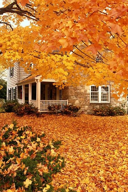 Autumn Magic, Autumn Scenes, Fabulous Fall, Autumn Scenery, Autumn Beauty, Autumn Landscape, Autumn Cozy, Autumn Aesthetic, Fall Pictures