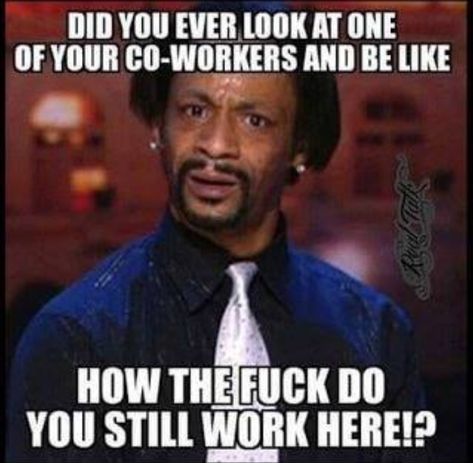 Katt Williams Quotes, Work Friends Quotes, Banking Humor, Funny Coworker Memes, Work Sarcasm, Annoying Co Workers, Annoying Coworkers, Coworker Humor, Funny Birthday Meme