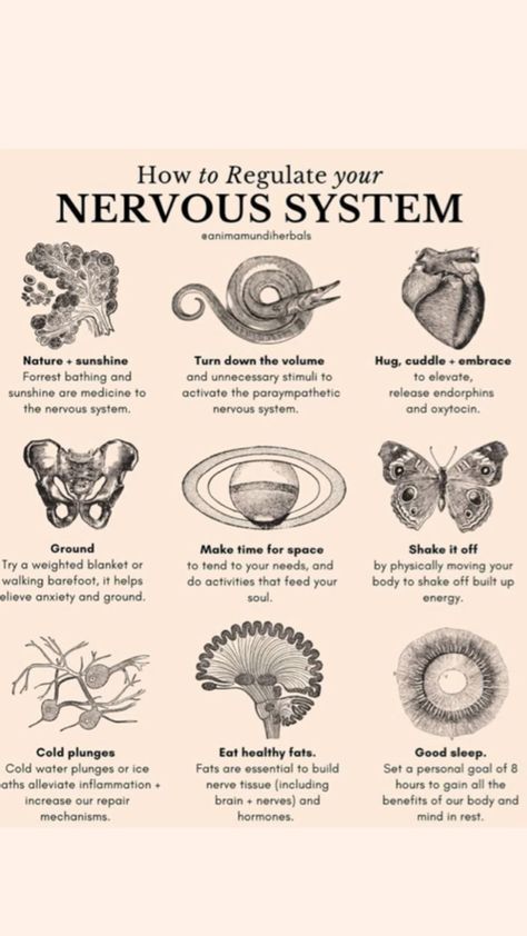 Regulate your nervous system , wellness , look after your body, dry brushing How To Calm Nervous System, Nervous System Dysregulation, Heal Nervous System, 2024 Happiness, Regulate Nervous System, Nervous System Activities, Regulate Your Nervous System, Nervous System Regulation, Spiritual Vibes