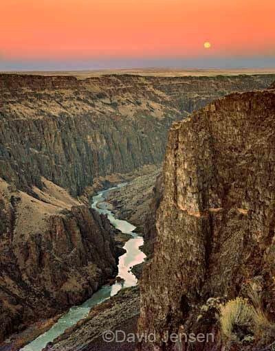 River Ideas, Rv Dreams, Beautiful Oregon, Best Vacation Destinations, Eastern Oregon, Vacation Locations, Tree Photo, Oregon Travel, Colorado River