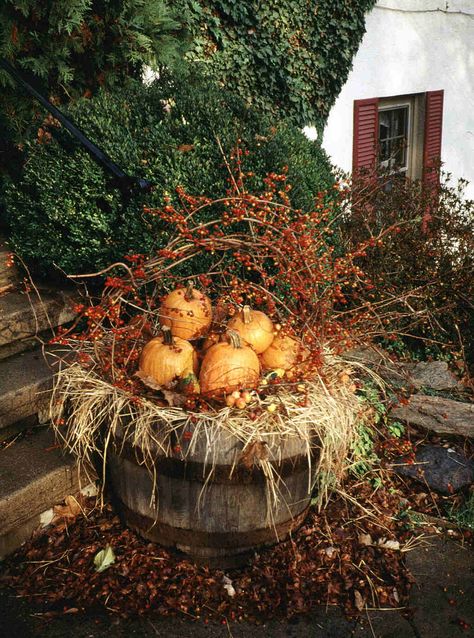 Fall Autumn Pumpkin Barrel Display Urn Pumpkin Decor, Fall Barrel Decor, Fall Planter Decorating Ideas, Fall Whiskey Barrel Planter, Fall Barrel Planter Ideas, Late Summer Early Fall Aesthetic, Pumpkin Display Ideas, Fall Outdoor Planter Ideas, Fall Containers Planters