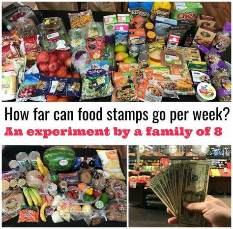 Food Stamp Meal Plan, Food Stamps Meal Plan, 20 Dollar Weekly Meal Plan, Feeding A Family Of 4 On $50 A Week, Weeks Worth Of Meals For $50, $60 A Week Grocery Budget, Food Stamps, New Fruit, Vegetable Stew