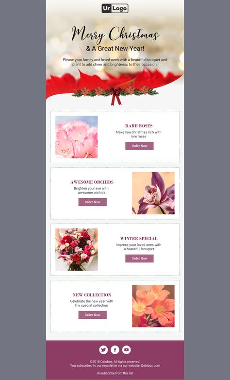 Christmas Layout Design, Mailchimp Design, Advertising Campaign Design, Christmas Email, Christmas Newsletter, Free Email Templates, Christmas Marketing, Email Layout, Mailer Design