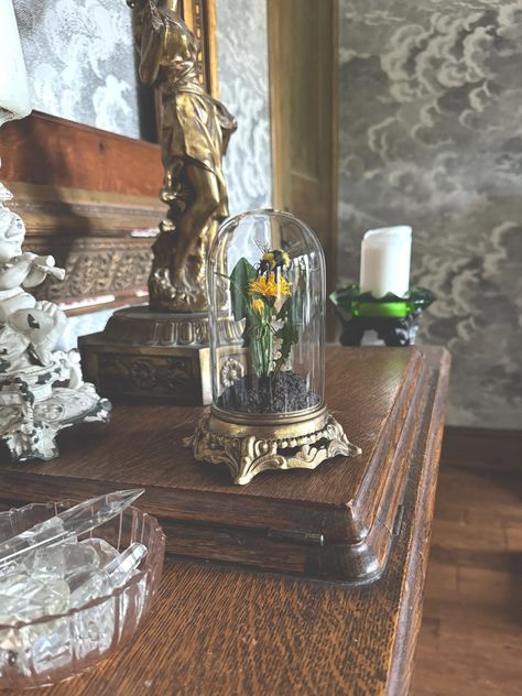 Handmade Bumble Bee and Dandelion Scene in Glass Cloche with Vintage Base by bydustin on Etsy Fluffy Bumble Bee, Transparent Wings, Metal Lamp Base, Cloche Decor, Glass Lamp Base, The Dandelion, Glass Cloche, Stained Glass Lamps, Metal Lamp