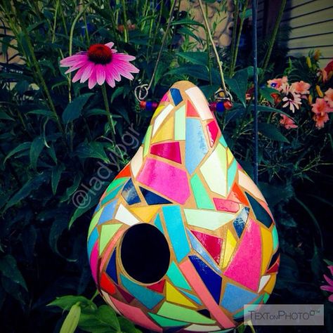 Teapot Birdhouse, Handmade Birdhouses, Gourds Birdhouse, Decorative Gourds, Hand Painted Gourds, Bird House Kits, Bird Aviary, Bird Houses Painted, Gourds Crafts