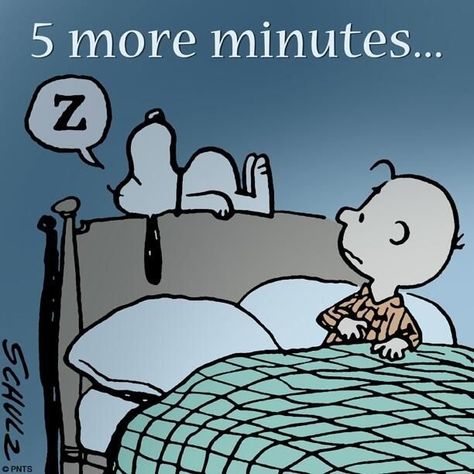 5 More Minutes funny quotes quote charlie brown sleep snoopy funny quotes Charlie Brown Y Snoopy, Charles Shultz, 5 More Minutes, Snoopy Comics, 귀여운 음식 그림, Charlie Brown Snoopy, Snoopy Funny, Peanuts Cartoon, Snoopy Quotes