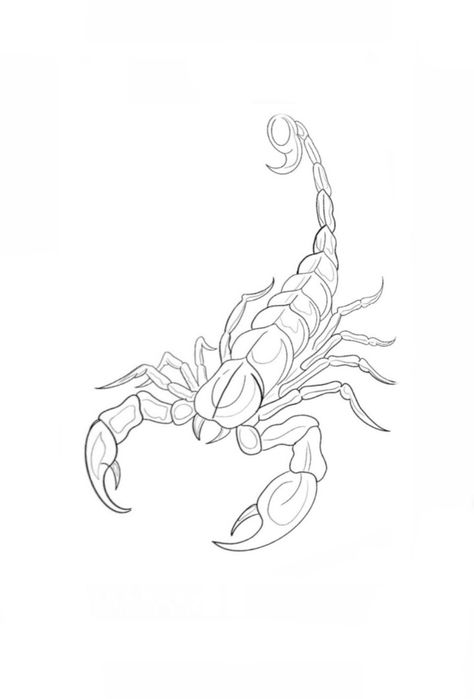 Scorpio Design Tattoo, Scorpio Tattoo Stencil, Scorpion Tattoo Stencil, Scorpion Tattoo With Rose, Scorpion Tattoo Outline, Scorpio Drawing, Scorpio Tattoo Design, Scorpion Tattoo Linework, Scorpio Outline