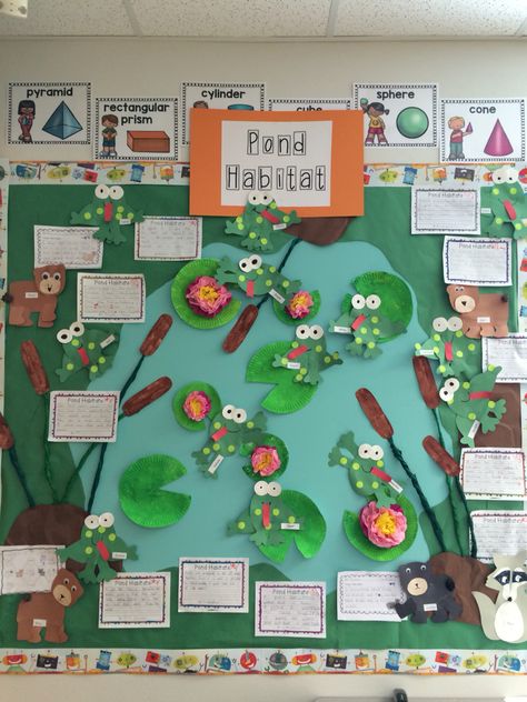 Pond Theme Classroom, Pond Life Crafts, Animal Learning Activities, Forest Theme Classroom, Pond Life Theme, Pond Habitat, Pond Crafts, Pond Animals, Frog Theme