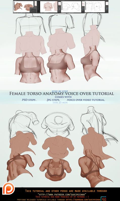 Female torso anatomy voice over .promo. by sakimichan.deviantart.com on @DeviantArt Woman Torso, Male Figure Drawing, Female Torso, Human Figure Drawing, Anatomy Drawing, Digital Painting Tutorials, Figure Drawing Reference, Anatomy Reference, Anime Drawings Tutorials