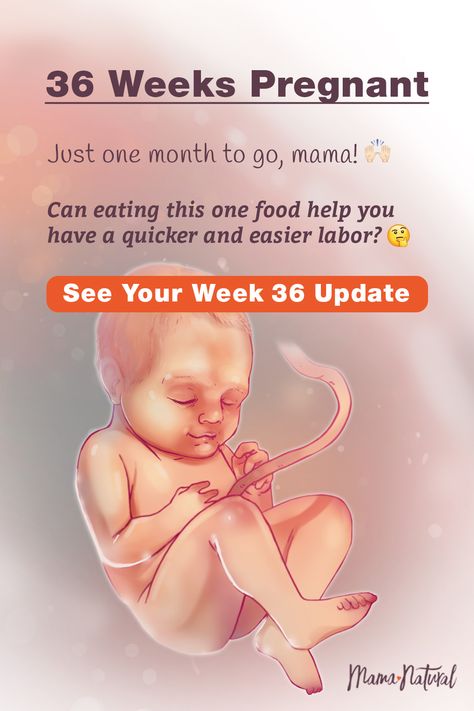 See what's up with baby, mama, and more when you're 36 weeks pregnant. The ultimate week by week natural pregnancy guide! Learn everything from pregnancy symptoms, development, learn to track your baby's growth and natural remedies for a healthy pregnancy. Click to find a complete timeline from the first trimester, second trimester, third trimester with tips for mom and baby to prepare them for a natural birth.   #naturalpregnancy #pregnancytips #naturalbirth Baby Development Chart, Week By Week Pregnancy, Am I Pregnant, 40 Weeks Pregnant, 34 Weeks Pregnant, Baby Development Activities, Third Trimester Pregnancy, Pregnancy Facts, 36 Weeks Pregnant