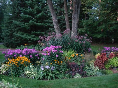 wisconsin landscape ideas - Google Search Flower Garden Ideas, Cheap Landscaping Ideas, Cheap Backyard, Shade Flowers, Lawn And Landscape, Fine Gardening, Love Garden, Garden In The Woods, Tall Plants