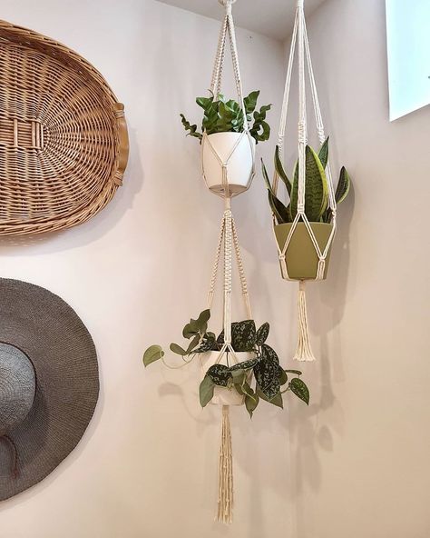 Hang Plants From Ceiling, Install Floating Shelves, Double Macrame Plant Hanger, Double Plant Hanger, Indoor Plant Hangers, Wall Macrame, Indoor Plant Wall, Plant Goals, Small Pots