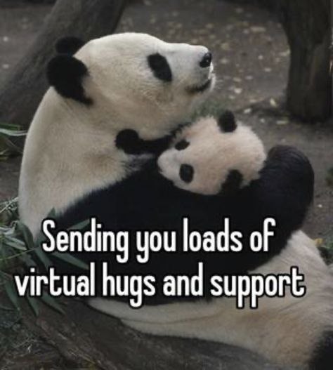 Your Hugs Make Me Feel Safe, Hug Virtual, Hug Memes Funny, Virtual Hugs, Need A Hug Meme, Virtual Hug, Morning Greetings, Good Morning Greetings, Morning Greeting