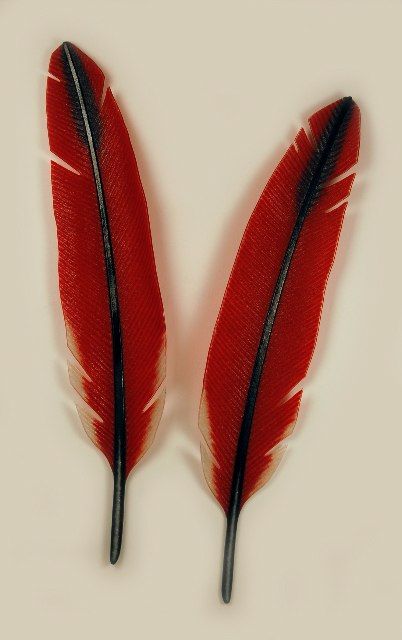 Cardinal Feathers, Cardinal Feather, Unconventional Art, Painted Feathers, Tattoo Placements, Art Muse, Feather Dream Catcher, Kiln Formed Glass, Feather Wings