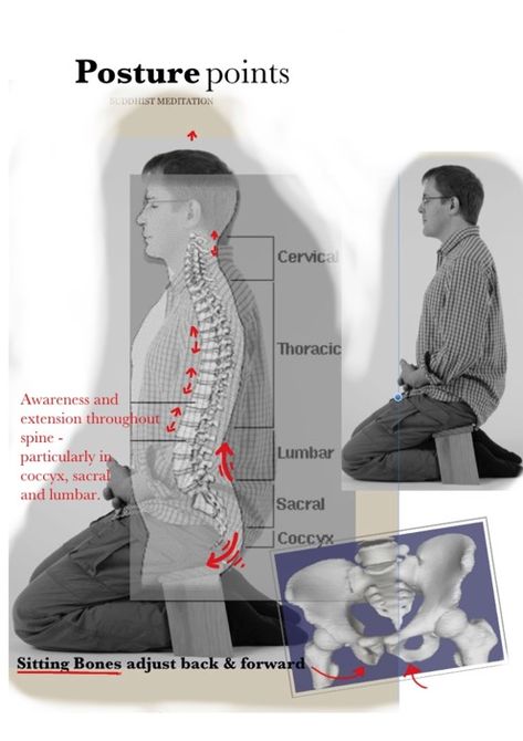 Anterior Pelvic Tilt, Ancient Yoga, Meditation Posture, Pelvic Tilt, Yoga Sutras, Martial Art, Chakra Meditation, Yin Yoga, Aikido