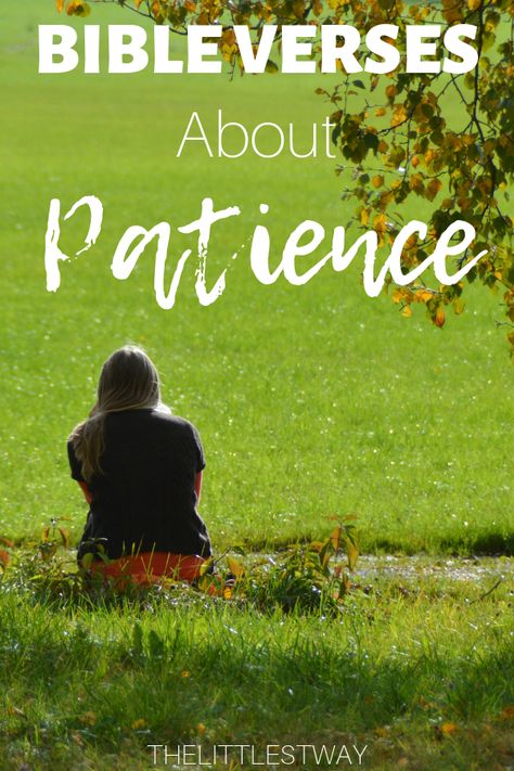 A post filled with references to Bible Verses About Patience. #bibleversesaboutpatience #versesaboutpatience Bible Patience, Biblical Quotes About Patience, Scripture About Patience, Verses About Patience, Bible Verses About Patience, People Testing My Patience, Short Bible Verses, Yw Lesson, Positive Mind