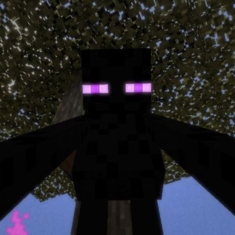 Minecraft Discord Pfp, Cute Minecraft Pfp, Minecraft Wallpaper Laptop, Enderman Pfp, Minecraft Pp, Minecraft Icons Aesthetic, Minecraft Wallpaper Desktop, Enderman Aesthetic, National Flag Of Bangladesh