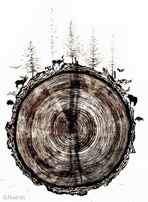 Logging Tattoo Ideas, Log Slices Ideas, Log Tattoo, Log Drawing, Tree Slice Art, Tree Trunk Slices, Natur Tattoo Arm, Wood Tattoo, Cool Nature