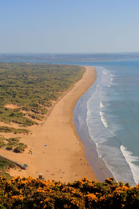 Saunton Sands, Wales Beach, Gower Peninsula, Lulworth Cove, Cornwall Beaches, Devon Devon, David Niven, Uk Beaches, Dog Friendly Beach