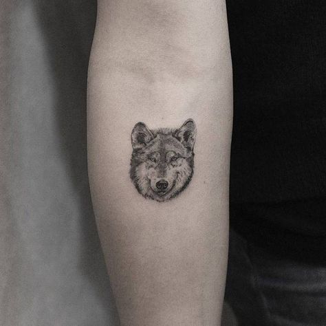 Single needle wolf head tattoo on the inner forearm. Tattoo Artist: Kane Navasard Indian Head Tattoo, Wolf Head Tattoo, Simple Wolf Tattoo, Wolf Tattoos For Women, Single Needle Tattoo, Head Tattoo, Inner Forearm, Wolf Tattoo Design, Fresh Tattoo