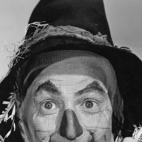 Wizard of Oz History on Instagram: "Check out the detail of Scarecrow’s makeup 🌾 An awesome glimpse into Ray Bolger’s makeup and costume for the role of Scarecrow in the 1939 film, “The Wizard of Oz.” Right down to the texture of his skin, made to look like a burlap sack! Ray loved his time working on Oz, but did not enjoy the makeup process. The mask used to create the burlap sack effect clogged his pores and made it impossible for his skin to breathe. #filmmakeup #filmcostume #academymuseum #smithsonian" The Scarecrow Wizard Of Oz, Guy Scarecrow Makeup, Scarecrow Wizard Of Oz, Wizard Of Oz Scarecrow, Oz Scarecrow, Makeup Process, Ray Bolger, Magic Of Oz, Scarecrow Makeup