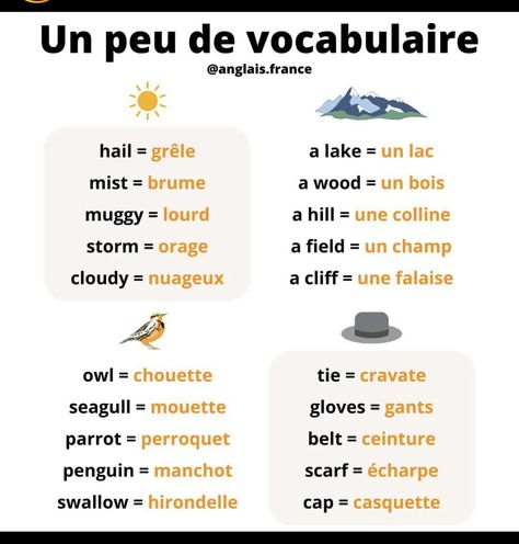 Food In French, French Lessons For Beginners, French Language Basics, Useful French Phrases, French Basics, French Flashcards, Basic French Words, French Teaching Resources, French For Beginners