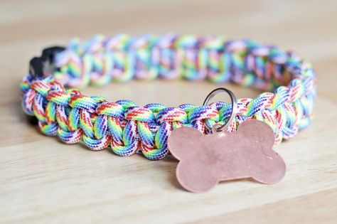 A collection of 20 easy things to make for your dog. Perfect for dog lovers! These crafts for dogs will have both of you smiling and wagging your tail. #thecraftyblogstalker #dogcrafts #craftsfordogs #doglovers #diypetprojects #petprojects #petcrafts Katt Diy, Diy Dream Catcher, Paracord Dog Collar, Chat Diy, Diy Dog Collar, Drawer Organization, Paracord Dog Collars, Collars Diy, Practical Kitchen