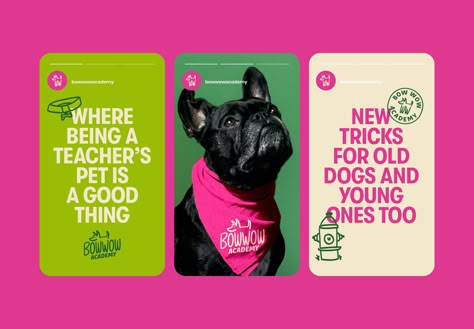 Bow Wow Academy: Bow Wow Academy Rebrand • Ads of the World™ | Part of The Clio Network Co Branding Logo Examples, Pet Branding, Dog Training School, Dog Branding, Training School, Bow Wow, Social Media Design Inspiration, Positive Reinforcement, Social Media Branding