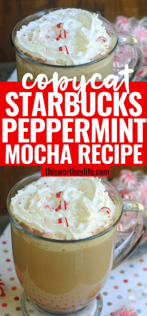 Starbucks Peppermint Mocha Recipe, Peppermint Mocha Frappuccino, Homemade Peppermint Mocha, Mocha Latte Recipe, Peppermint Mocha Recipe, Black Buck, Pink Drink Recipes, Peppermint Coffee, Starbucks Peppermint Mocha