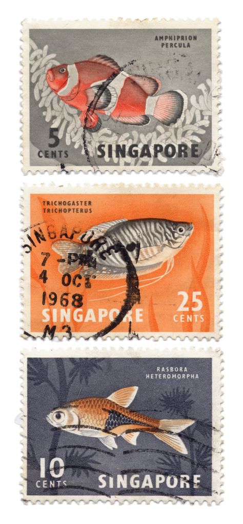 Series of vintage fish stamps from the 1960s - Singapore Singapore Scrapbook, Singapore Stamp, Vintage Singapore, Fish Stamp, Vintage Postcard Display, Vintage Stamps Postage, History Of Singapore, Singapore Photos, Postage Stamp Design