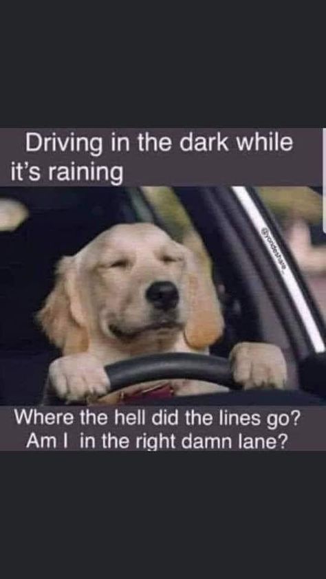 Driving Humor, What I Like About You, Facebook Humor, Pet Peeves, Snow Storm, Twisted Humor, Sarcastic Quotes, Funny Signs, Bones Funny