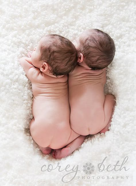 Twin Babies Pictures, Newborn Twin Photos, Twin Baby Photography, Twin Baby Photos, Twins Newborn, Twins Posing, Twin Newborn, Twin Pictures