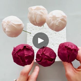 How To Make Peony Flowers Fondant, Gumpaste Peony, Gum Paste Flowers Tutorials, Peony Drawing, Fondant Art, Frosting Flowers, Sugar Paste Flowers, Fondant Flower Tutorial, Gumpaste Flowers