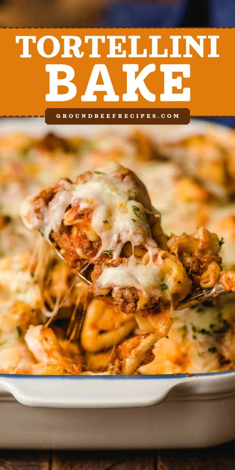 A 4-ingredient tortellini bake! It's just in time for a warm dinner idea. Cheesy and loaded with ground beef, this oven baked tortellini is a hearty casserole meal! Definitely one of the best comfort food recipes! Easy Cheesy Tortellini, Casseroles With Ground Beef, Baked Tortellini Recipes, Cheesy Tortellini Bake, Casserole Meal, Baked Tortellini Casserole, Tortellini Casserole, Baked Tortellini, Comfort Food Dinners