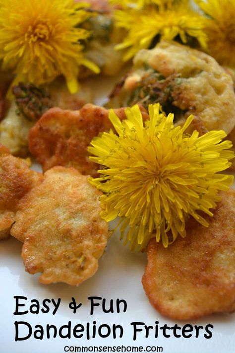 This dandelion fritter recipe is a fun and and tasty way to put those blossoms to use. Enjoy it sweet or savory. Includes tips for identifying dandelions, serving suggestions, and more bee friendly flower ideas. Dandelion Fritters Recipe, Bee Friendly Flowers, Gluten Free Milk, Dandelion Jelly, Foraging Recipes, Fritters Recipe, Fritter Recipes, Bee Friendly, Dandelion Recipes