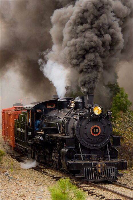 Sumpter Valley Train Steam Trains Photography, Old Steam Train, Steam Engine Trains, Scenic Railroads, Train Art, Train Photography, Old Trains, Steam Train, Train Pictures