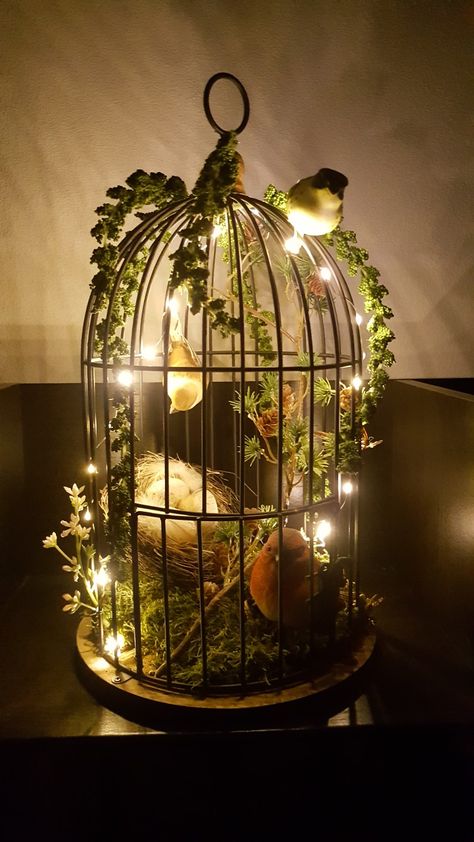 Vintage Bird Cage Decor, Birdcage Planter, Lantern Ideas, Bird Cage Decor, Vintage Bird Cage, Diy Basket, Bird Cages, Deco Floral, Bird Decor