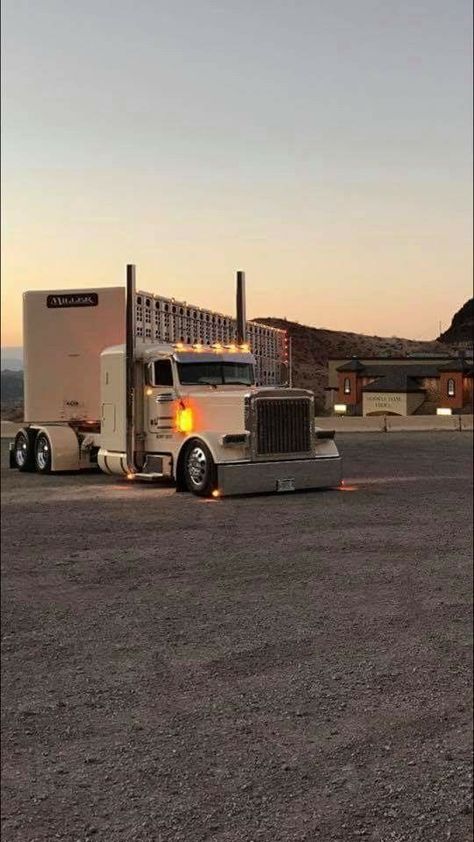 Bull Hauler, Cattle Trucks, Custom Peterbilt, Texas Truck, Stock Trailer, Diesel Mechanics, Rv Truck, Train Truck, Old Ford Trucks