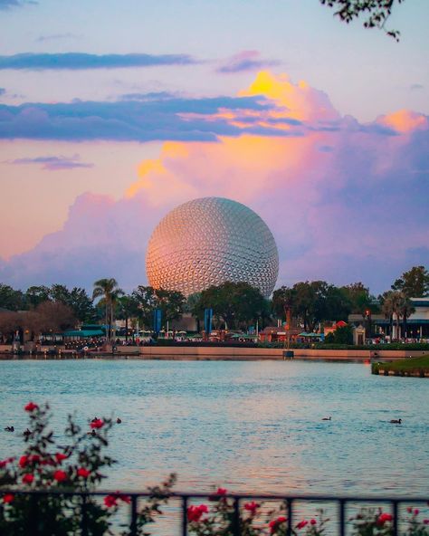 Disney World Aesthetic, Disney Poses, Disney Photo Ideas, Disney World Pictures, Disney Background, Cute Disney Pictures, Disney Collage, Disney World Florida, Disney Epcot