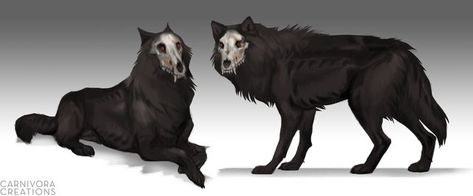 Colored Sketches, Hell Hounds, Demon Dog, Canine Drawing, Wolf Artwork, Fantasy Wolf, Thanks Everyone, Creature Artwork, Mythical Animal