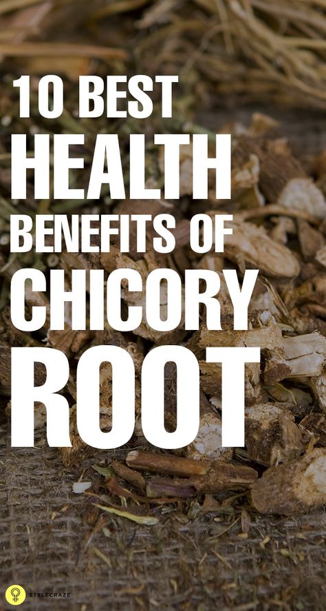 Have you ever taken a chicory root before? This root is commonly known as a coffee substitute or as an additive for coffee. But what most of us don't know is the amazing benefits it comes with. Herbal Coffee, Chicory Coffee, Coffee Substitute, Chicory Root, Coffee Benefits, Best Health, Good Health Tips, Free Energy, Health Advice