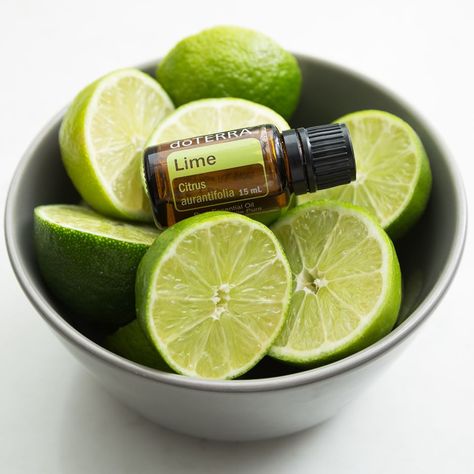 This versatile essential oil definitely deserves the LIMElight. 😂  Cold-pressed from the peel of fresh limes, dōTERRA Lime essential oil is refreshing and energising in both aroma and taste. 💚 Fresh Guacamole, Lime Essential Oil, Lime Oil, Glass Of Water, Fresh Lime, Limes, In A Hurry, Doterra, Guacamole